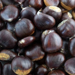 whitten chestnuts