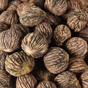 sparrow black walnut nuts