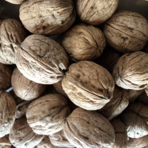 chandler walnuts