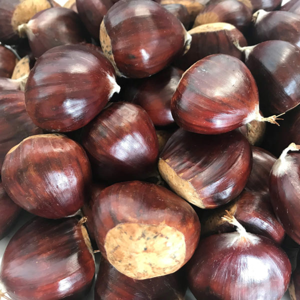 Belle Epine Chestnuts