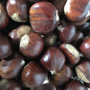 Nevada Chestnuts