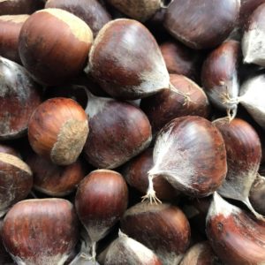 Marissard chestnuts