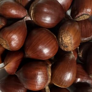 Primato chestnuts